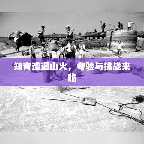 知青遭遇山火，考验与挑战来临