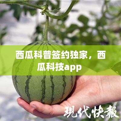 盖世英雄 第2页