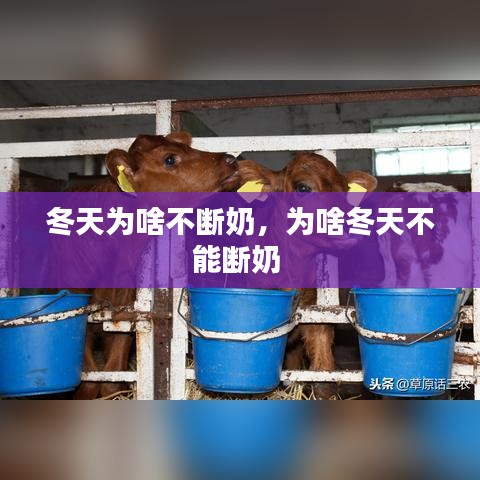 仙姿佚貌 第2页