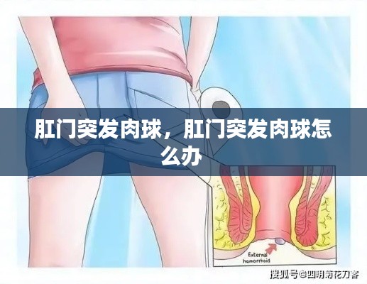 展翅高飞 第2页