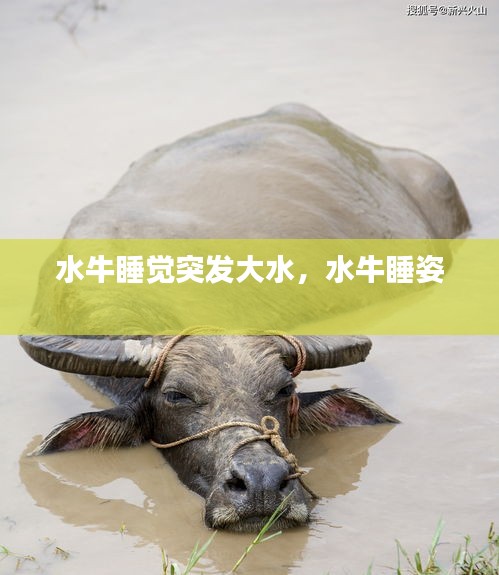 富贵逼人 第2页
