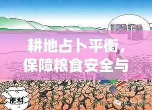 耕地占卜平衡，保障粮食安全与土地资源高效利用之道