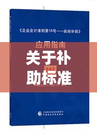 关于补助标准的落实请示，细节解读与实际应用指南