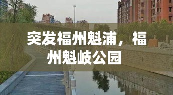 突发福州魁浦，福州魁岐公园 