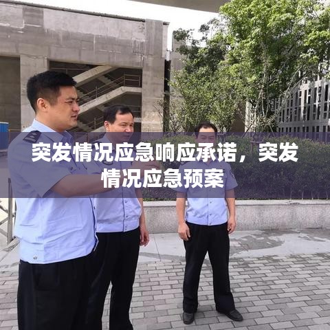 突发情况应急响应承诺，突发情况应急预案 