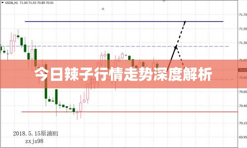 今日辣子行情走势深度解析