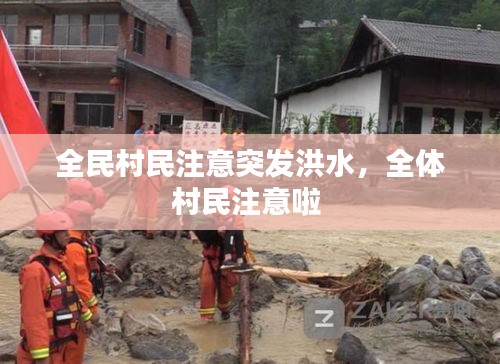 全民村民注意突发洪水，全体村民注意啦 