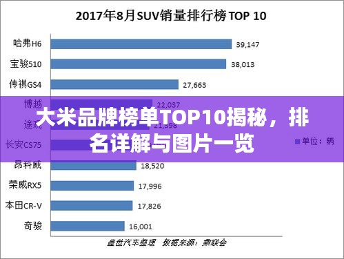 大米品牌榜单TOP10揭秘，排名详解与图片一览