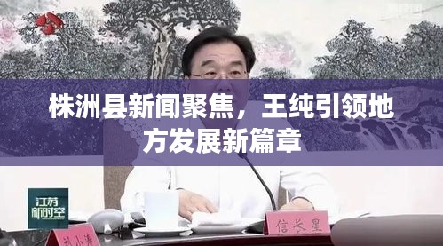 株洲县新闻聚焦，王纯引领地方发展新篇章