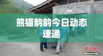 熊猫韵韵今日动态速递