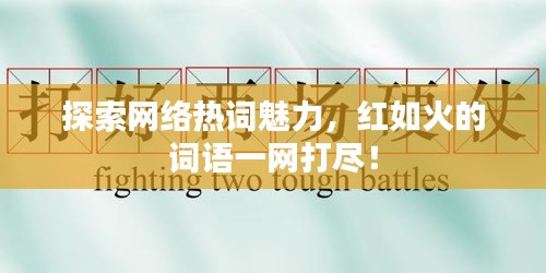 探索网络热词魅力，红如火的词语一网打尽！