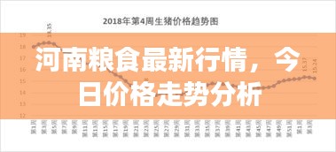 河南粮食最新行情，今日价格走势分析