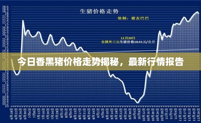 今日香黑猪价格走势揭秘，最新行情报告