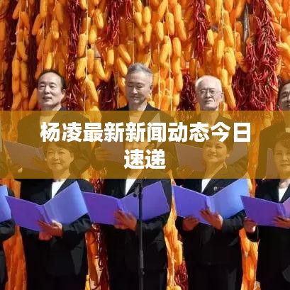 杨凌最新新闻动态今日速递