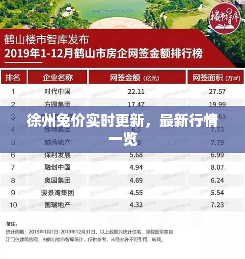 徐州兔价实时更新，最新行情一览