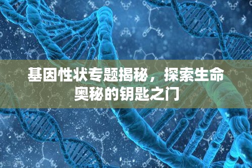 基因性状专题揭秘，探索生命奥秘的钥匙之门