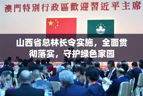 山西省总林长令实施，全面贯彻落实，守护绿色家园