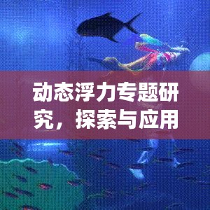 动态浮力专题研究，探索与应用之旅