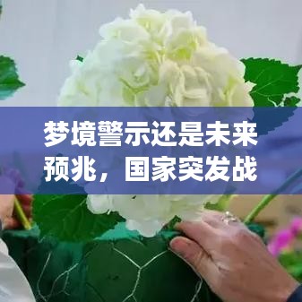 梦境警示还是未来预兆，国家突发战争之梦探秘