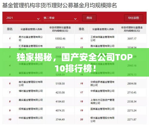 独家揭秘，国产安全公司TOP10排行榜！