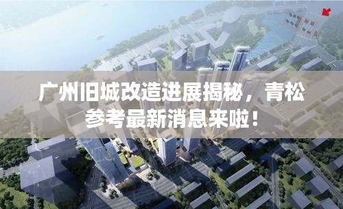 广州旧城改造进展揭秘，青松参考最新消息来啦！
