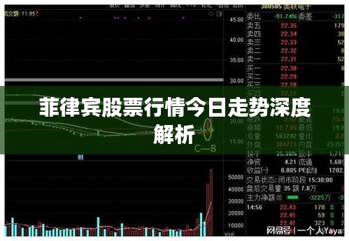 菲律宾股票行情今日走势深度解析