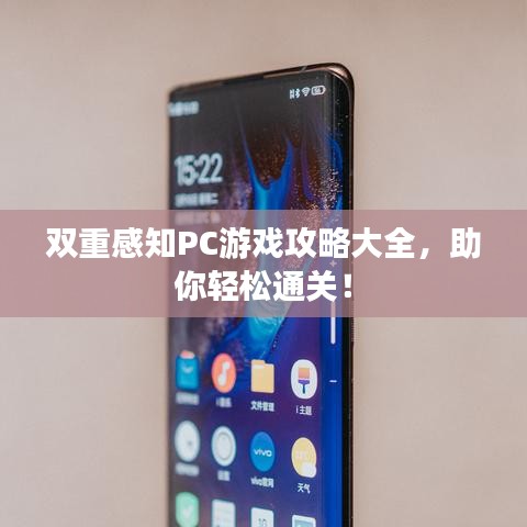 双重感知PC游戏攻略大全，助你轻松通关！
