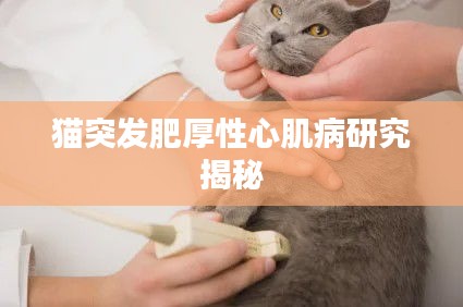 猫突发肥厚性心肌病研究揭秘