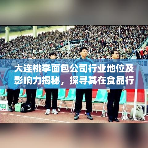 大连桃李面包公司行业地位及影响力揭秘，探寻其在食品行业的排名与影响力