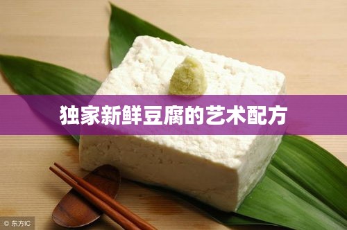 独家新鲜豆腐的艺术配方