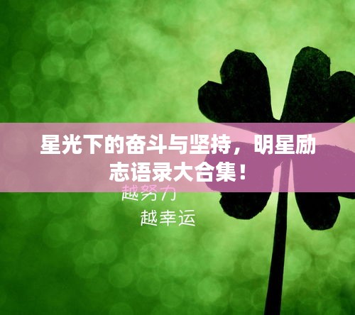 星光下的奋斗与坚持，明星励志语录大合集！