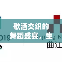 歌酒交织的舞蹈盛宴，生命旋律中的狂欢之旅