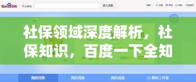 社保领域深度解析，社保知识，百度一下全知道