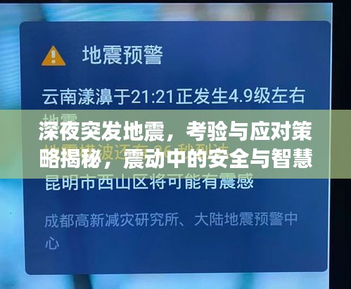 深夜突发地震，考验与应对策略揭秘，震动中的安全与智慧