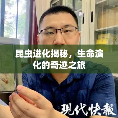 昆虫进化揭秘，生命演化的奇迹之旅