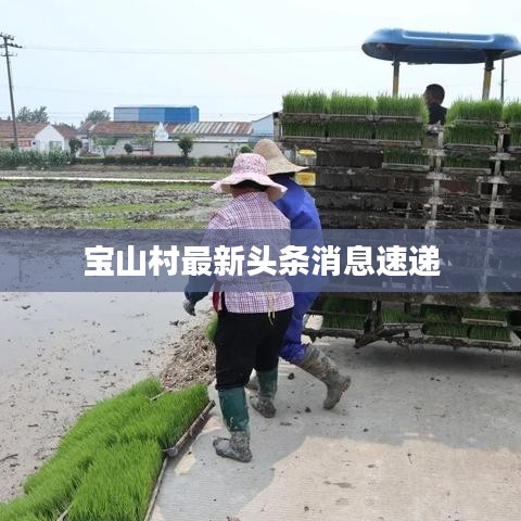 宝山村最新头条消息速递