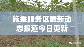 施秉服务区最新动态报道今日更新