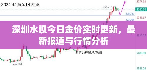 深圳水坝今日金价实时更新，最新报道与行情分析