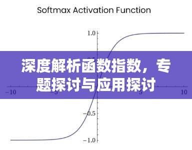 深度解析函数指数，专题探讨与应用探讨
