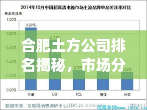 合肥土方公司排名揭秘，市场分析与竞争力对比