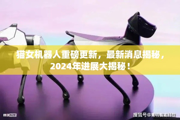 猫女机器人重磅更新，最新消息揭秘，2024年进展大揭秘！