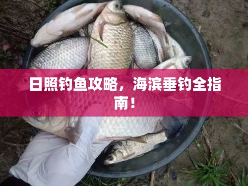 日照钓鱼攻略，海滨垂钓全指南！