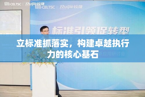 立标准抓落实，构建卓越执行力的核心基石