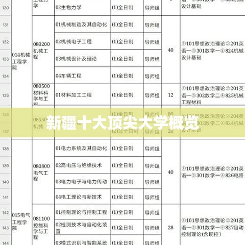 新疆十大顶尖大学概览