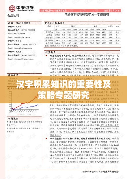汉字积累知识的重要性及策略专题研究