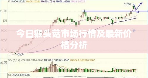 今日猴头菇市场行情及最新价格分析