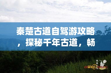 秦楚古道自驾游攻略，探秘千年古道，畅游美景之旅！