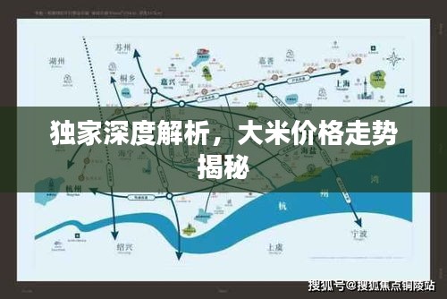 独家深度解析，大米价格走势揭秘