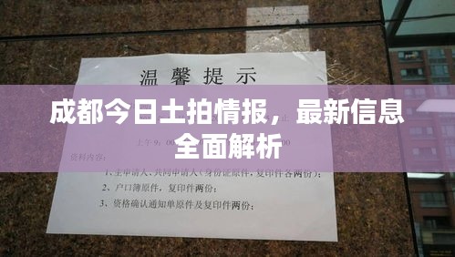 成都今日土拍情报，最新信息全面解析