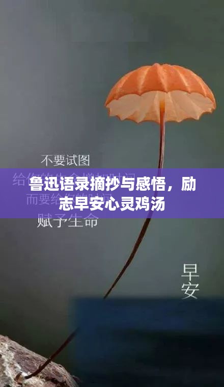 鲁迅语录摘抄与感悟，励志早安心灵鸡汤